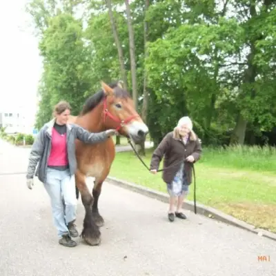 Attelage de Lorraine