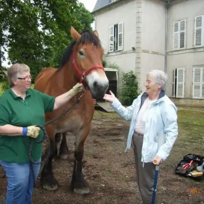 Attelage de Lorraine