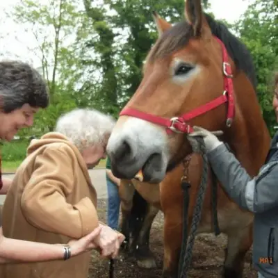 Attelage de Lorraine